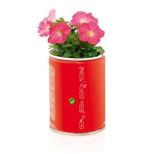 Metal Tin Plant pot 143369 BigBuy Tech