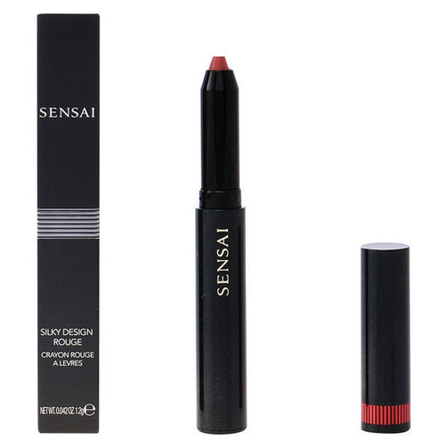 Lip Liner Silky Design Rouge Kanebo Kanebo