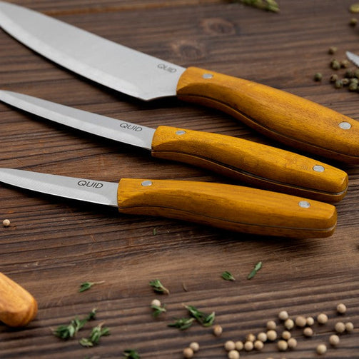 Chef's knife Quid Carnivoro (20 cm) Quid