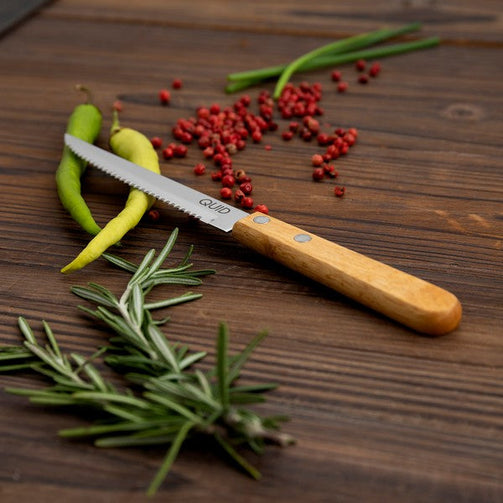 Chef's knife Quid Carnivoro (20 cm) Quid