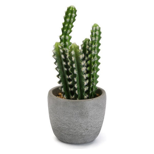 Decorative Plant Plastic Cactus BigBuy Home