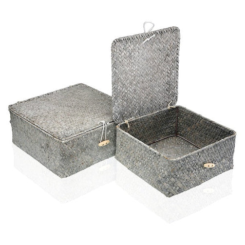 Basket set Marine algae (2 Pieces) (23 x 10 x 23 cm) BigBuy Home