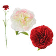 Decorative Flower Carnation 114400 BigBuy Home