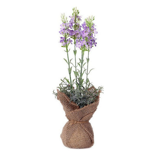 Decorative Plant 119596 (37 cm) BigBuy Home