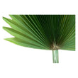 Decorative Plant Dekodonia Polyurethane Metal polyethylene (45 x 120 cm) Dekodonia