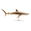 Decorative Figure Dekodonia Acrylic Metal Resin Shark (79 x 12 x 32 cm) Dekodonia