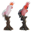 Decorative Figure Dekodonia Bird Resin (2 pcs) (18 x 11 x 36 cm) Dekodonia