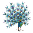 Decorative Figure Dekodonia Peacock Metal Gloss finish (118 x 29 x 102 cm) Dekodonia