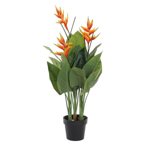 Decorative Plant Dekodonia Plastic polypropylene Cement (70 x 97 cm) Dekodonia