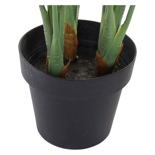 Decorative Plant Dekodonia Plastic polypropylene Cement (70 x 97 cm) Dekodonia