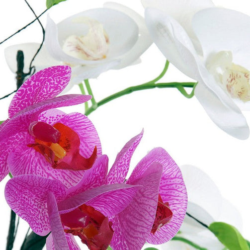 Decorative Flower Dekodonia Baked clay (2 pcs) Dekodonia