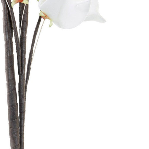 Decorative Flower Dekodonia EVA (Ethylvynilacetate) (2 pcs) (35 x 110 cm) Dekodonia