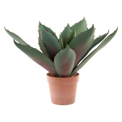 Decorative Plant Dekodonia polypropylene EVA (52 x 52 x 52 cm) Dekodonia