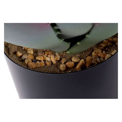 Decorative Plant Dekodonia polypropylene EVA (45 x 45 x 55 cm) Dekodonia