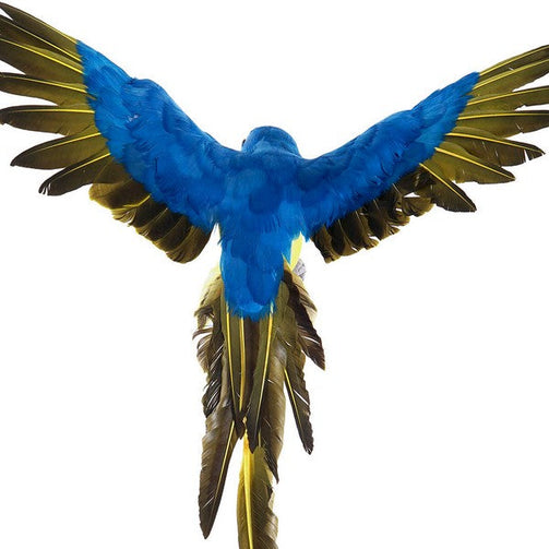 Decorative Figure Dekodonia Feather (60 x 54 cm) (2 pcs) Dekodonia