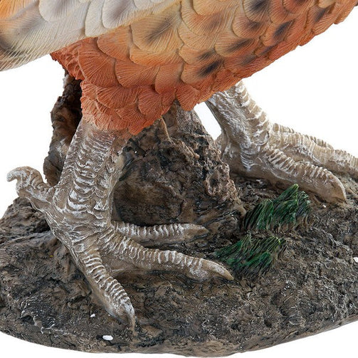 Sculpture Dekodonia Bird Brown Resin (50 x 15 x 34 cm) Dekodonia