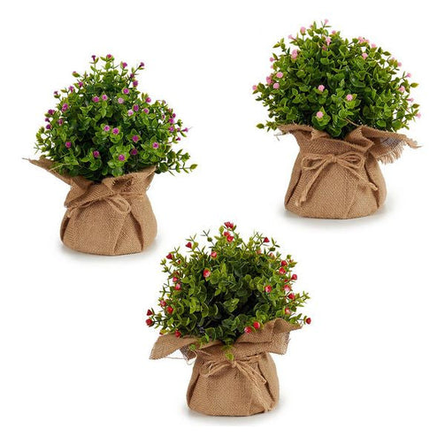 Decorative Plant Plastic (20 x 28 x 20 cm) Ibergarden