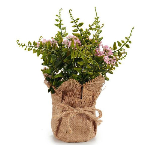 Decorative Plant Plastic (13 x 23 x 13 cm) Ibergarden