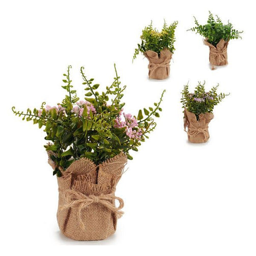 Decorative Plant Plastic (13 x 23 x 13 cm) Ibergarden