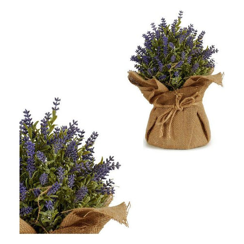 Decorative Plant Plastic (15 x 28 x 15 cm) Ibergarden