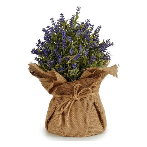 Decorative Plant Plastic (15 x 28 x 15 cm) Ibergarden