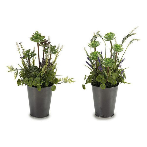 Decorative Plant Plastic (20 x 41 x 20 cm) Ibergarden