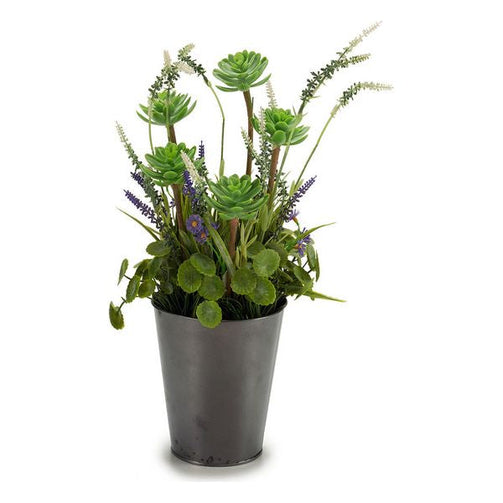 Decorative Plant Plastic (20 x 41 x 20 cm) Ibergarden
