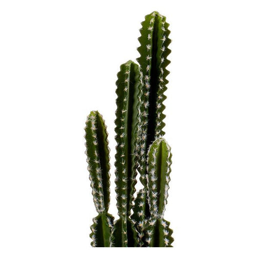 Cactus Plastic Cactus (17 x 80 x 17 cm) Ibergarden