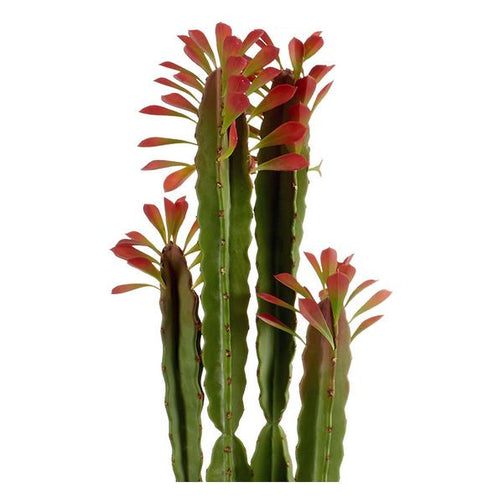 Cactus Plastic Sheets Cactus (18 x 98 x 18 cm) Ibergarden