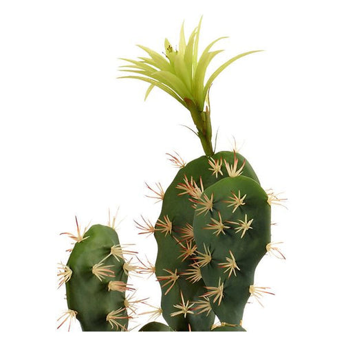 Cactus Plastic White Cactus (14 x 46 x 20 cm) Ibergarden