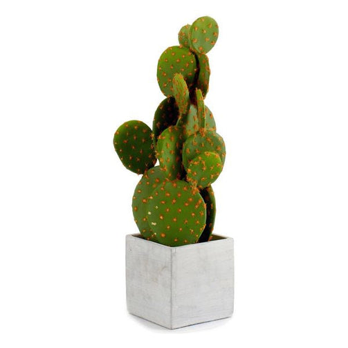 Cactus Cactus 50 (12 x 47 x 12 cm) Ibergarden