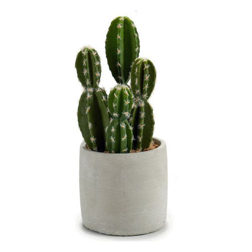 Cactus Plastic Cactus (12 x 28 x 12 cm) Ibergarden