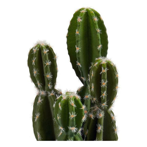 Cactus Plastic Cactus (12 x 28 x 12 cm) Ibergarden