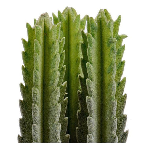 Cactus Plastic Cactus (10 x 20 x 10 cm) Ibergarden