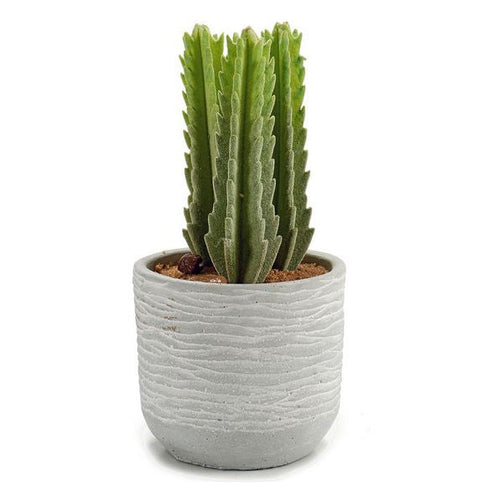 Cactus Plastic Cactus (10 x 20 x 10 cm) Ibergarden