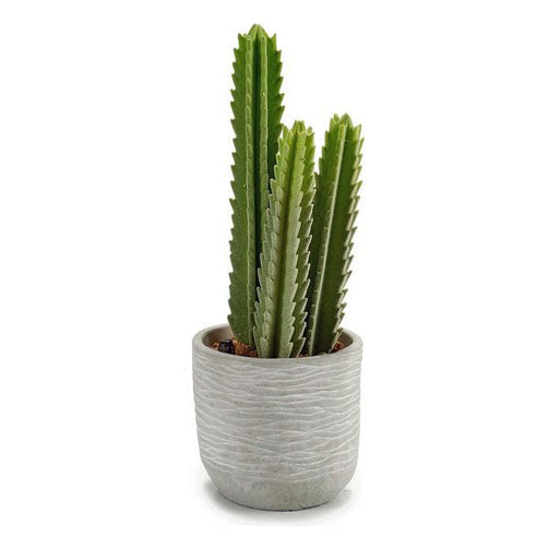 Cactus Plastic Cactus (12 x 32,5 x 12 cm) Ibergarden