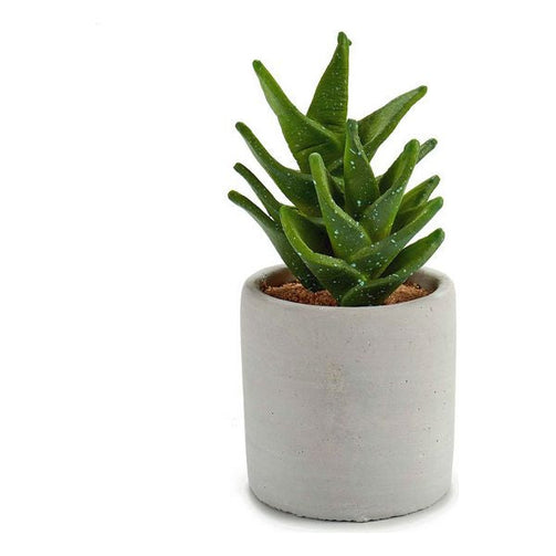 Cactus Plastic Cactus (7 x 14 x 7 cm) Ibergarden
