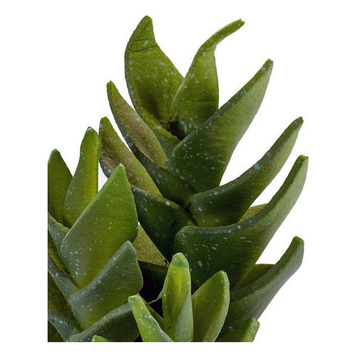 Cactus Plastic Cactus (10,5 x 21 x 10,5	cm) Ibergarden
