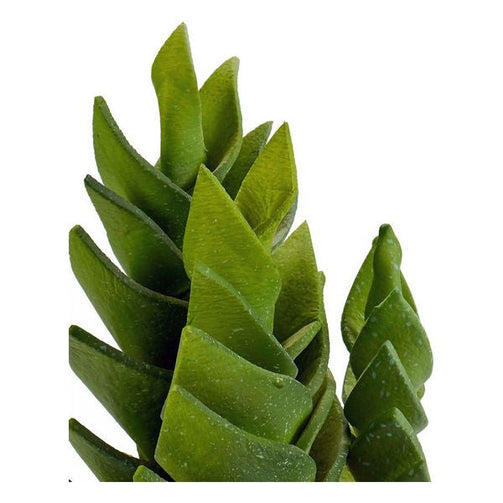 Cactus Plastic Cactus (12 x 24 x 12 cm) Ibergarden