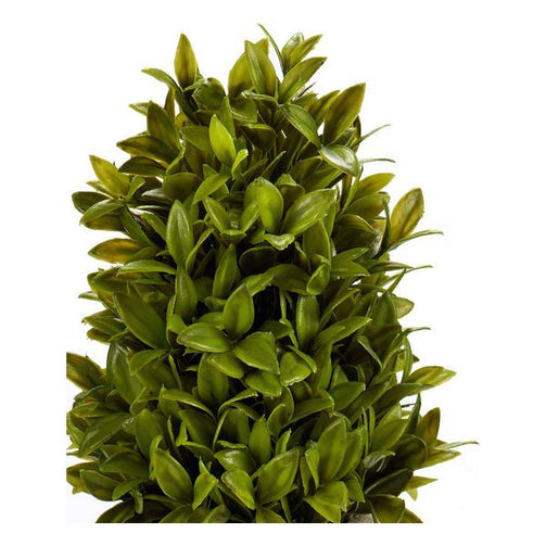 Decorative Plant (20 x 33 x 20 cm) Ibergarden