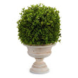 Decorative Plant (33 x 37 x 30 cm) Ibergarden