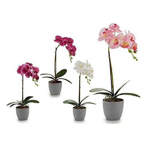 Plant pot Grey (14 x 43 x 26 cm) Ibergarden