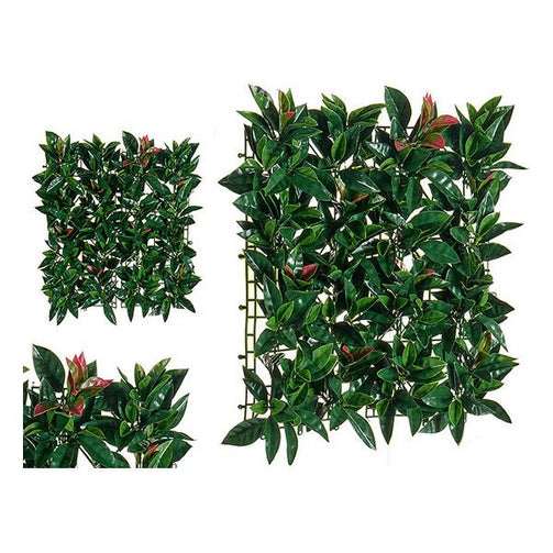 Decorative Plant Green Plastic (50 x 3 x 50 cm) Ibergarden