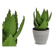 Decorative Plant Aloe Vera Plastic (14 x 23 x 14 cm) BigBuy Home