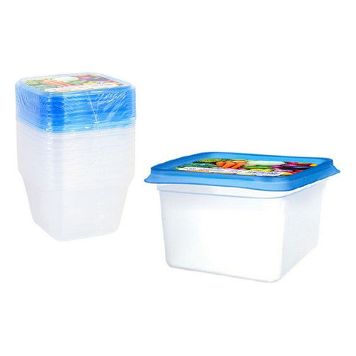 Set of 9 lunch boxes Privilege 550 ml Privilege