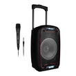 Portable Bluetooth Speakers NGS WildSamba 30W Black NGS