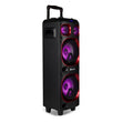 Speaker NGS Wild SKA 1 300W NGS