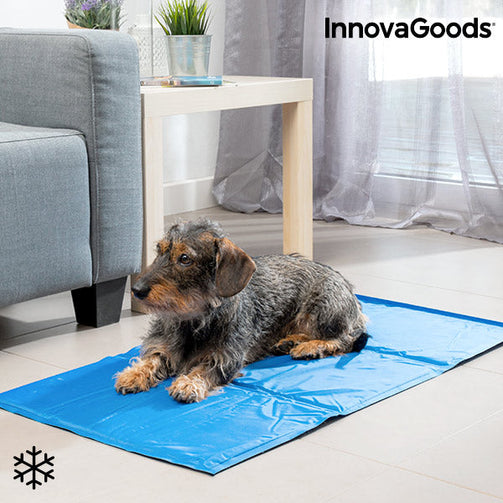 InnovaGoods Refreshing Pet Mat (90 x 50 cm) InnovaGoods