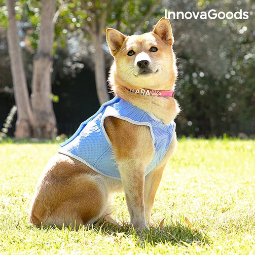 InnovaGoods Refreshing Pet Vest for Small Pets - S InnovaGoods