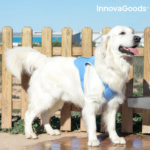 InnovaGoods Refreshing Pet Vest for Large Pets - L InnovaGoods